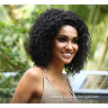 Afro Kinky Curly Lace Front Human Hair Wigs Jerry Curly Human Hair Short Bob Wigs Wet Curly Wig